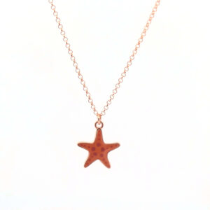 VERSARI-Collana stella marina smaltata